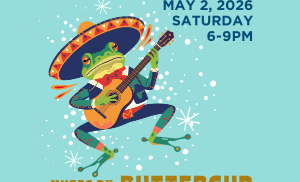 PARTY IN THE PARK SATX