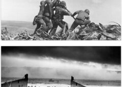 TODAY WE REMEMBER D DAY AND DEMOCRACY