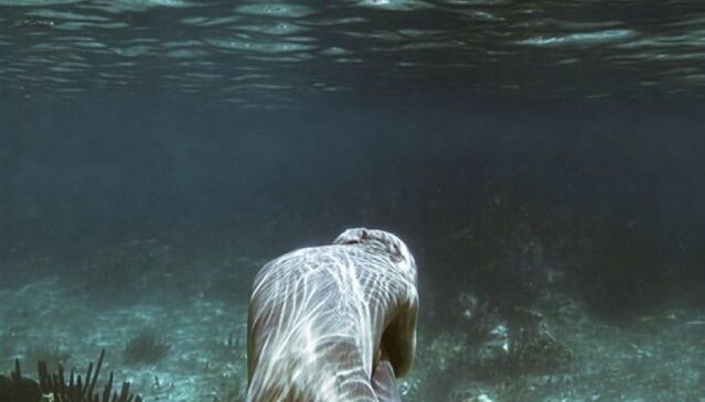 Jason deCaires Taylor, Artist